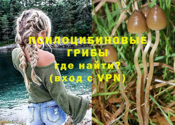 PSILOCYBIN Аркадак